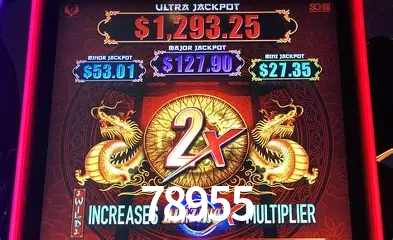 Experiência VIP 78955