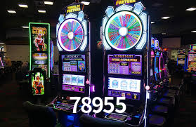 Sports Statistics 78955